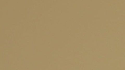 Trump pidió las calificaciones escolares de Obama pero se ha negado a hacer públicas las suyas