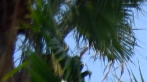 Asistencia al cliente, recompensas y otro servicios también fueron considerados