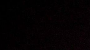 Nikki Bella se retiró de los cuadriláteros.