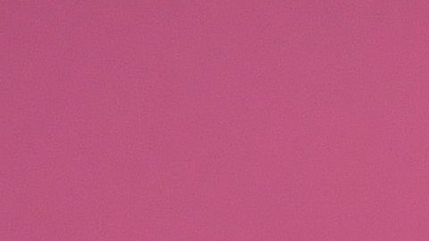 Rita Ora aprendió a hablar español.