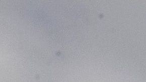 Migrantes centroamericanos protestan en la frontera durante una reciente visita del presidente Donald Trump a la ciudad de McAllen, Texas.