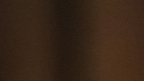 Trump no quiere dar a conocer sus nexos económicos con diferente gobiernos extranjeros