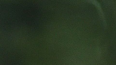 El presidente presiona al Congreso.