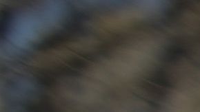 La extensión y redesignación del TPS para Venezuela por 18 meses beneficia a unos 472,000 venezolanos que llegaron al país hasta el 31 de julio.