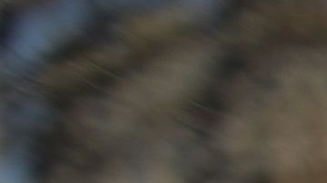 La extensión y redesignación del TPS para Venezuela por 18 meses beneficia a unos 472,000 venezolanos que llegaron al país hasta el 31 de julio.