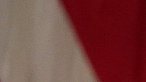 Trump muestra sus habilidades para los negocios