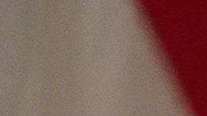 Senadores republicanos votarían en contra de la emergencia nacional de Trump