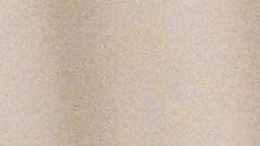 Ivanka estuvo acompañada de su esposo Jared Kushner