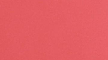 Trump abraza la bandera durante un acto político en Maryland.