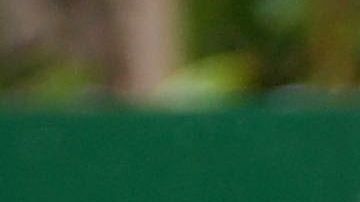 Yalitza Aparicio está recibiendo ofertas.