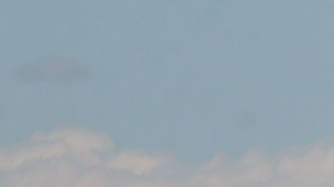 Southwest es la aerolínea con más Boeing 737 Max 8