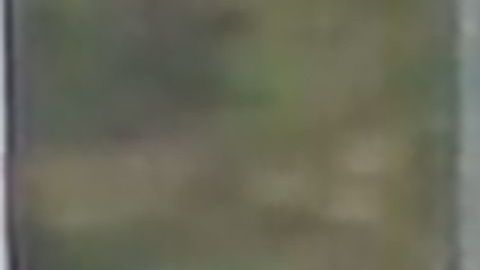 Fuerzas especiales rodean una de las mezquitas tiroteadas en Nueva Zelanda.