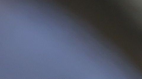 Crece clamor para que Trump muestre sus devoluciones de impuestos