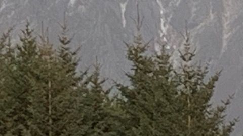 Pasajeros rescatados en helicóptero desde el crucero Viking Sky.