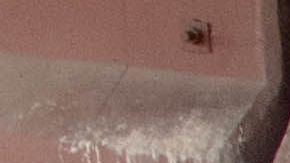 La Patrulla Fronteriza tiene retenidos a alrededor de 13,000 inmigrantes.