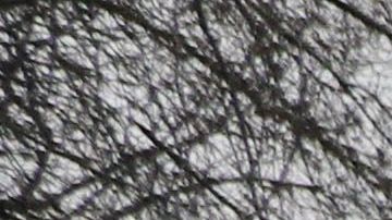 Bernie Sanders busca la candidatura del Partido Demócrata para competir por la Presidencia en 2020.