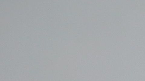 Planes Fly At Sydney Airport As Boeing 737 MAX 8 Operations Are Suspended In Australia