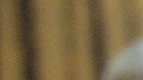 Trump sorprende con sus declaraciones