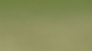 Trump dijo que la decisión "depende del fiscal general", William Barr