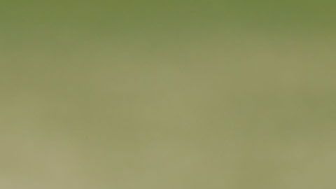 Trump dijo que la decisión "depende del fiscal general", William Barr