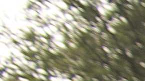 Los marines mexicanos enfrentan sin misericordia a los sicarios de cárteles.