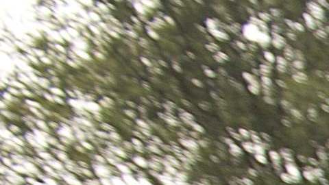 Los marines mexicanos enfrentan sin misericordia a los sicarios de cárteles.