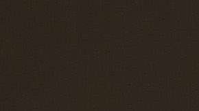 USCIS actualiza con regularidad sus formularios.