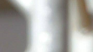 Pope Francis Visits Calabria