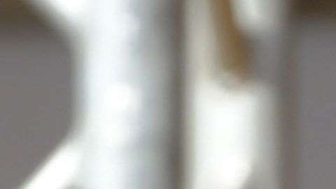 Pope Francis Visits Calabria