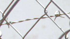 Presos de la Mara Salvatrucha en Honduras.