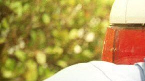 La aplicación del Departamento puede actualizar la placa de hasta 5 autos con una sola transacción