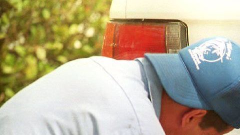 La aplicación del Departamento puede actualizar la placa de hasta 5 autos con una sola transacción