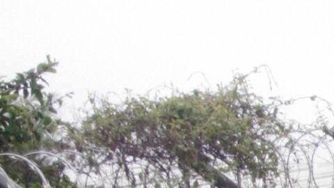 La cárcel El Pavoncito, ubicada en el municipio de Fraijanes, al este de Ciudad de Guatemala.