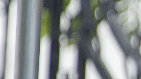 Un entrenador de tenir de las jóvenes Obama está implicado en una red de fraude de universidades.