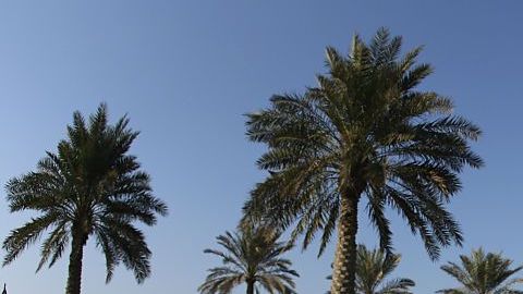 Nicole Hanselmann fue la más afectada de la competencia, pues terminó en el lugar 74