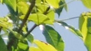 La Marina mantiene su batalla contra el crimen organizado.