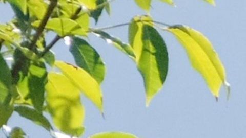 La Marina mantiene su batalla contra el crimen organizado.