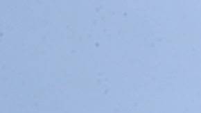 La Corte Suprema decidió tomar el caso y decidirá sobre el mismo