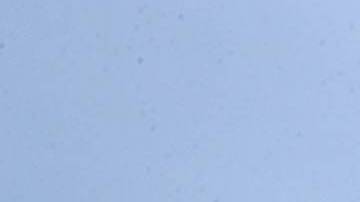 La Corte Suprema decidió tomar el caso y decidirá sobre el mismo