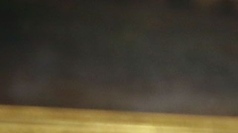 John Kelly nunca mostró desacuerdo hacia Trump mientras trabajó bajo su mando.