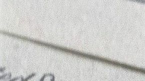 El dólar mantiene comportamiento mixto a nivel internacional.