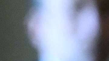 El presidente Trump ha sido señalado por mentir constantemente.