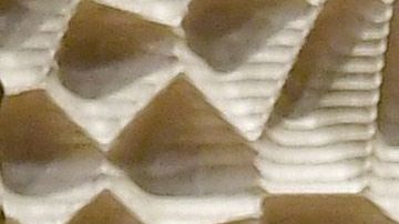 Jared Kushner e Ivanka Trump.