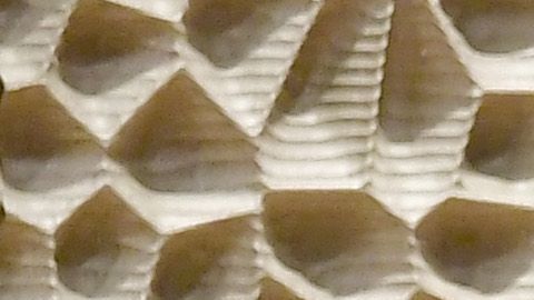 Jared Kushner e Ivanka Trump.