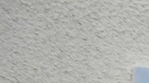 El buen servicio no es una prioridad para el Departamento