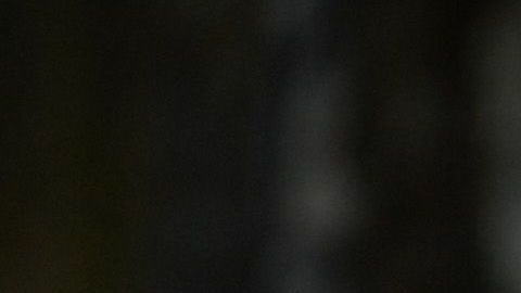 Durante sus visitas a Mar-a-Lago, al presidente Trump le gusta portar gorras.