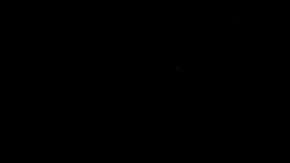 El presidente Trump.