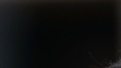 Paul Manafort ya tenía una sentencia de cuatro años.