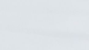 US-POLITICS-TRUMP-WALL