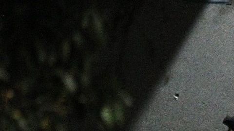 El CJNG de "El Mencho" tiene presencia en 28 estados mexicanos.